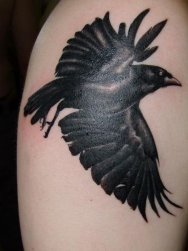 Raven Tattoo Design a vállán