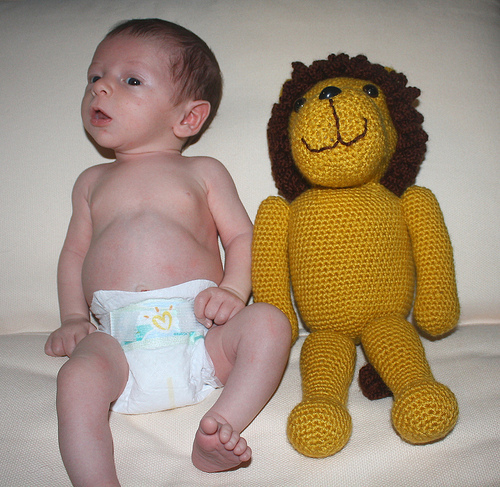 Játékok 4 hónapos babának - Az oroszlán töltött játék