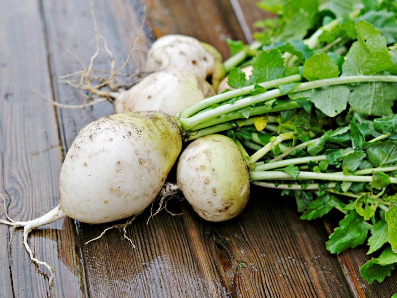 A fehérrépa zöldségeinek egészségre és szépségre gyakorolt ​​előnyei