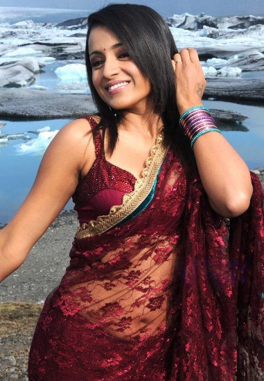 trisha i net saree