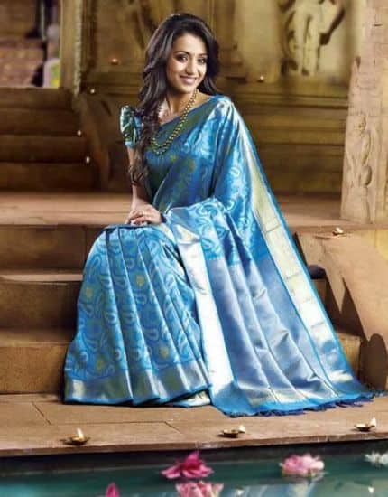 trisha blue saree szexi