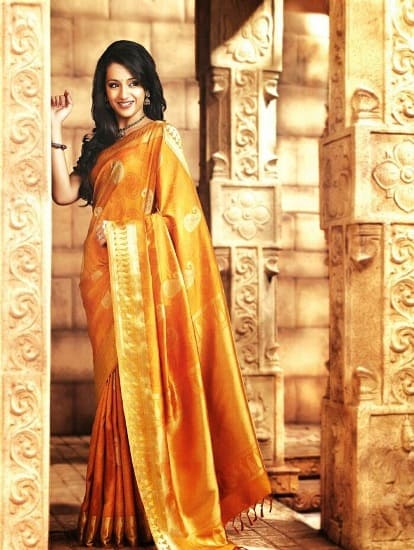 trisha i silke saree