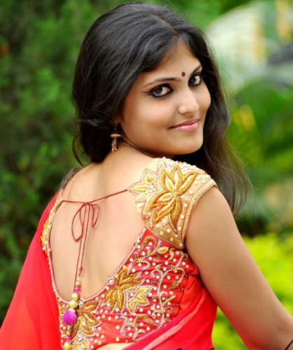 Az autentikus selyem Saree blúz design