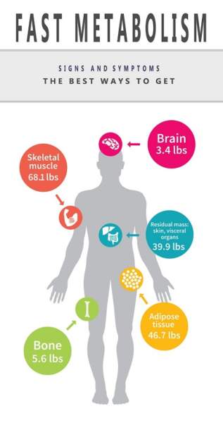 metabolisme hurtigt