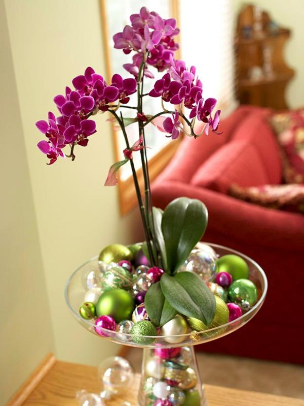 ruukkukasvit sisätiloissa kukkivat orkidea joulukoristeita