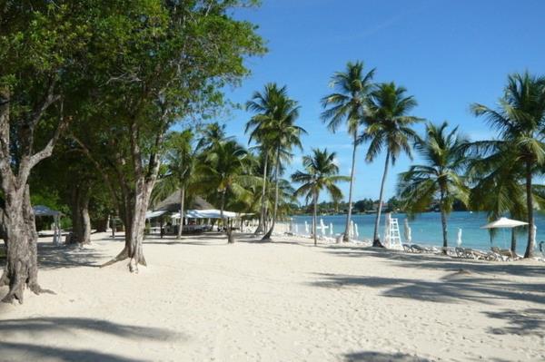 unelma loma Karibian valkoinen ranta palmuja