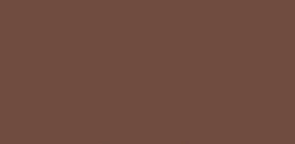 trendivärit seinämaali mocca ruskeat värit benjamin moore aamukahvi