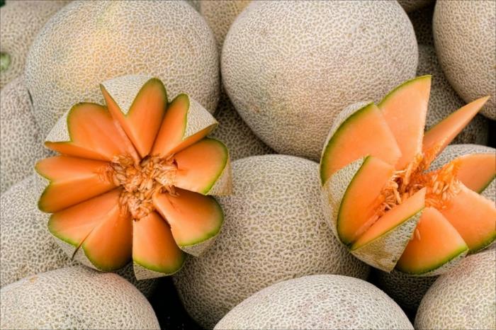 ruoka yhdistää ravitsemus terveet tuoreet hedelmät meloni syödä