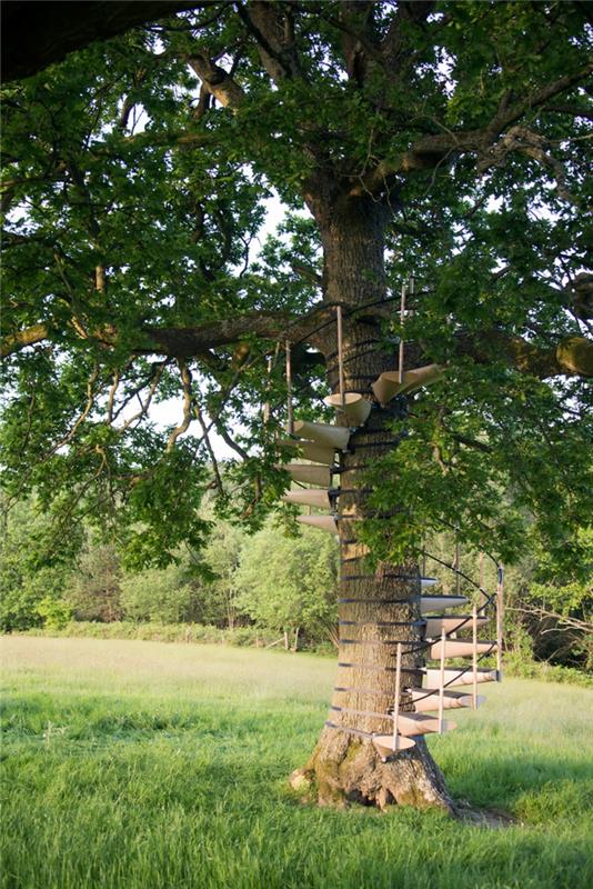 rakentaa portaat itse puu kaareva muotoilu