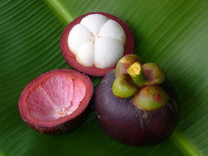 trooppiset hedelmät mangosteen kuori hedelmät