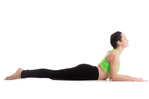 Sphinx Pose (salamba Bhujangasana)