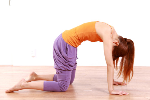 Cat Pose (marjariasana vagy Bidalasana) - jógagyakorlatok az alsó hátfájás enyhítésére