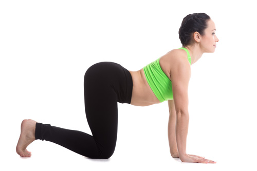 Cow Pose (bitilasana)