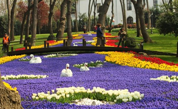 tulppaanit kuvat turkki emirgan park istanbul joutsenet jokisilta