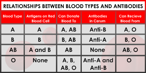 typer af blodgrupper