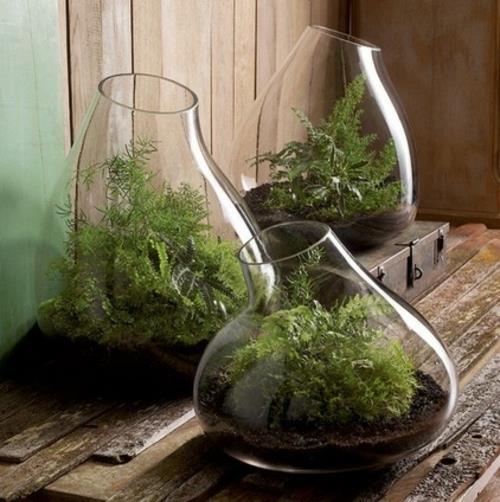 Ympäristöystävälliset huonekalut lasiastiat vihreillä kasveilla