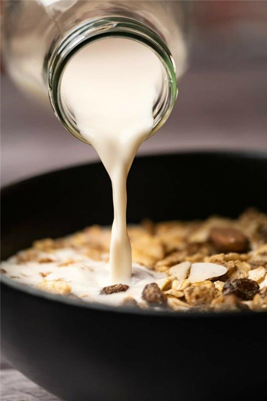vegaaninen maito tekee terveellisiä aamiaisideoita itse