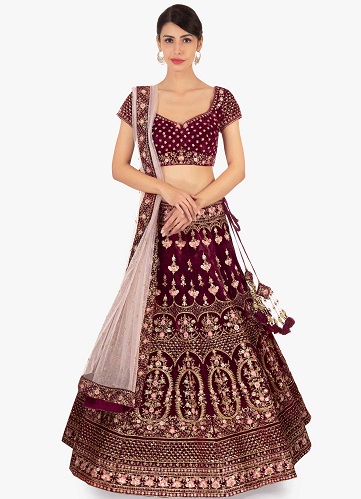 Net And Velvet Lehenga