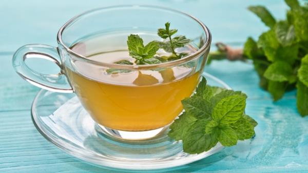 edistää ruoansulatusta mintun teetä