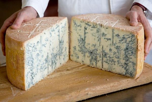 erityyppiset juustot Gorgonzola -sinihomejuusto