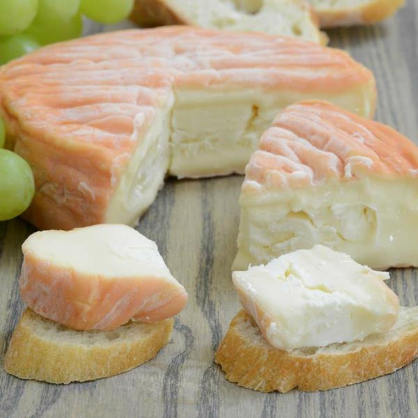 erityyppisiä juustoja Epoisses