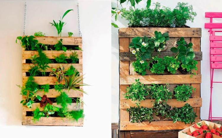 tee pystysuora puutarha itse -ohjeet pystysuoraan vihertävästä DIY -ideasta