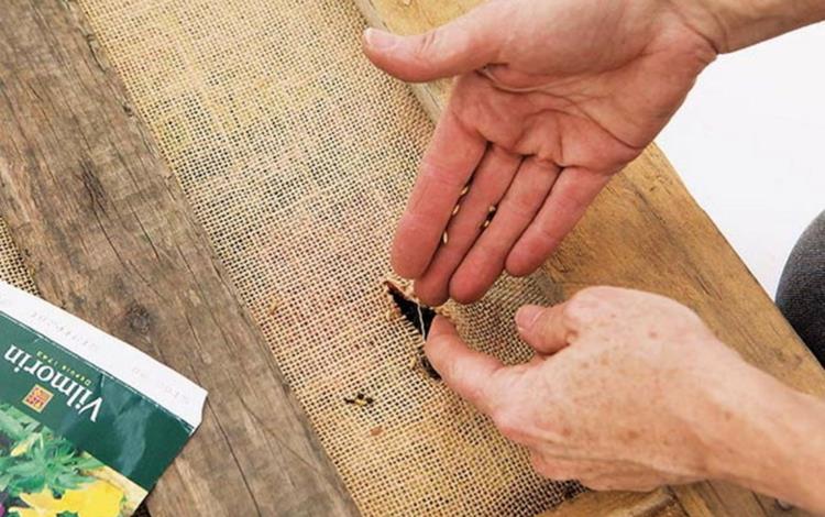 Tee pystysuora puutarha itse Rakennusohjeet pystysuoraan viherryttämiseen