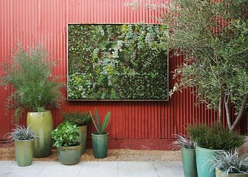 pystysuora puutarhan muotoinen runko seinän kasvisto grubb puutarhat