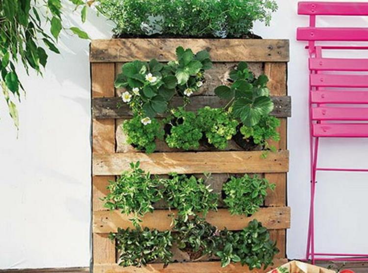 pystysuora puutarha -ohje DIY -projekti kuormalavoista pystysuora vihertäminen