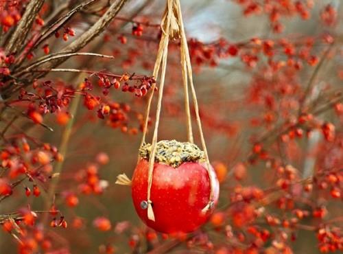 rakenna itse lintujen syöttölaite punainen omena