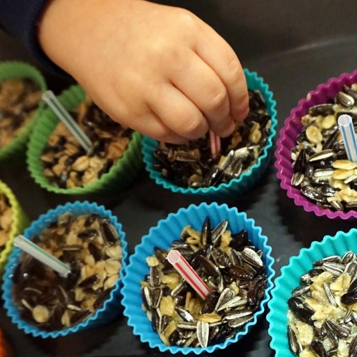 Rakenna omat lintujen syöttöalustasi cupcakes -kulhot