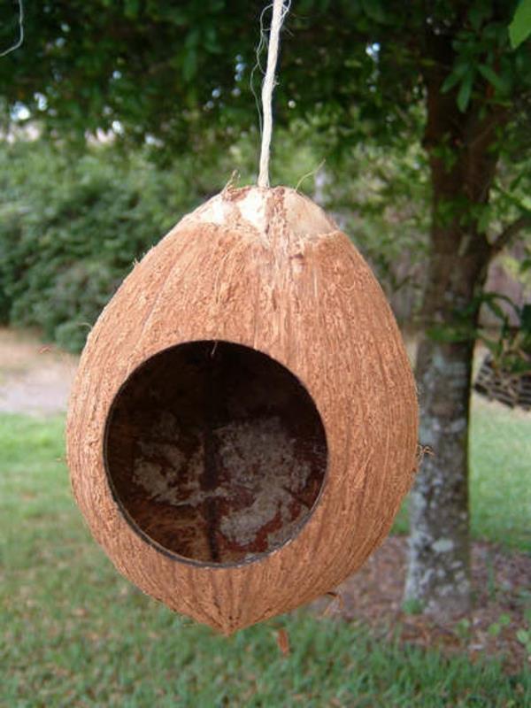 Tee sama lintuhuone kookospähkinästä