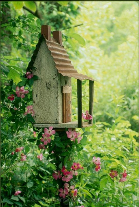 rakentaminen birdhouse puusta ympäristöystävällinen luonto