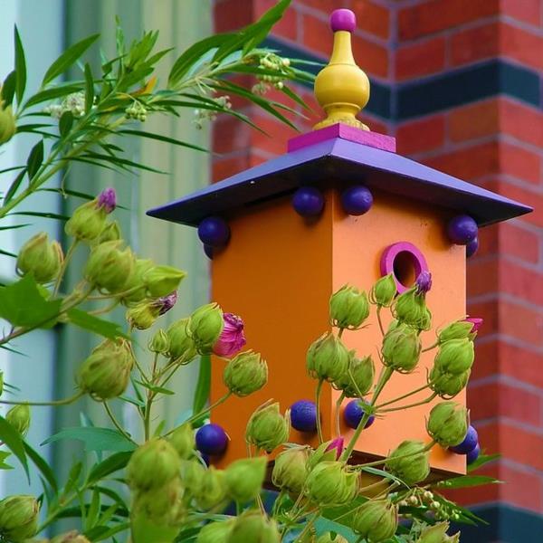 birdhouse rakentaa kestävää puuta ympäristöystävällinen oranssi violetti