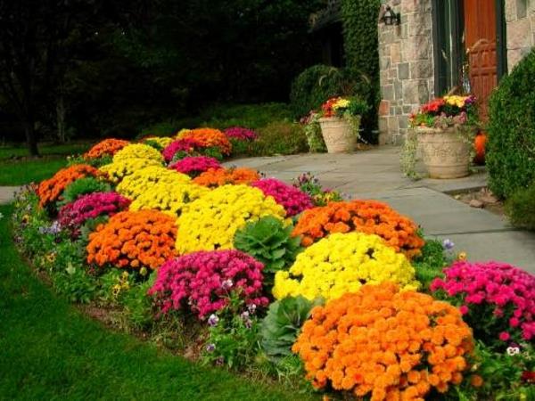 etupiha puutarhan suunnittelu värilliset kukat nurmialue