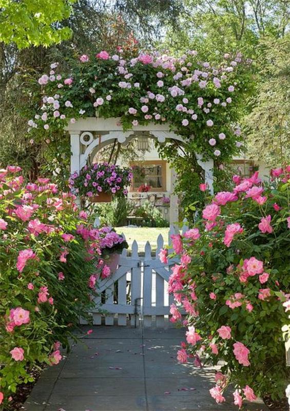 etupihan suunnittelu valkoiset puutarha -aidan ruusut