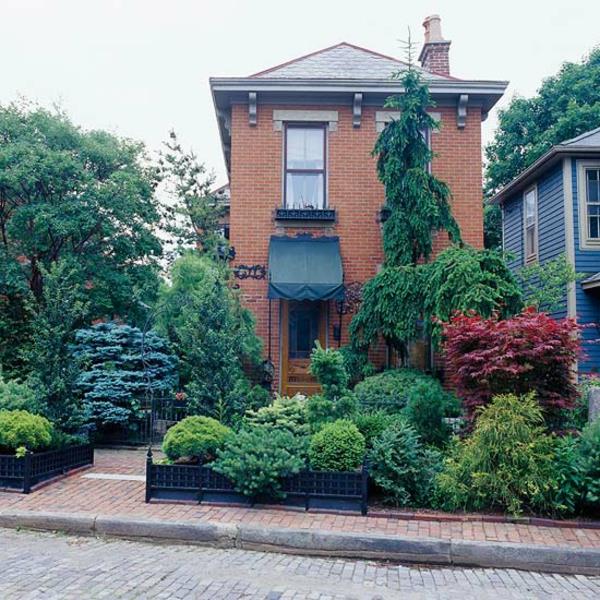 Etupuutarhan suunnitteluideoita ikivihreitä kasveja