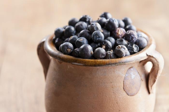 katajan marjat purkki Katajan vaikutus mielenkiintoisia faktoja