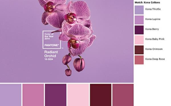 seinän väri marja trendi väri pantone väri säteilevä orkidea violetti värisävyjä