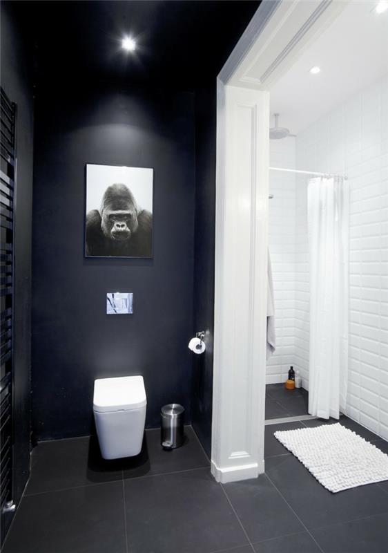 seinän väri musta kylpyhuoneen sisustus mustavalkoisia koriste -ideoita