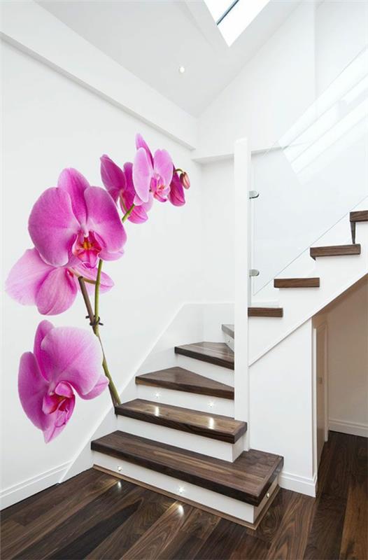 seinäideat halli seinäsuunnitteluideoita kuvio tapetti orkidea