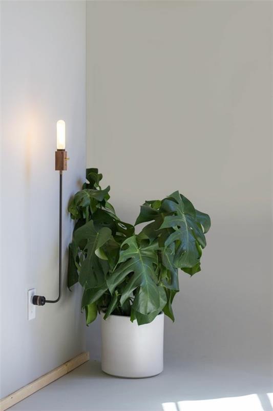 seinävalot sisätiloissa moderni seinävalaisin kasvi valaista