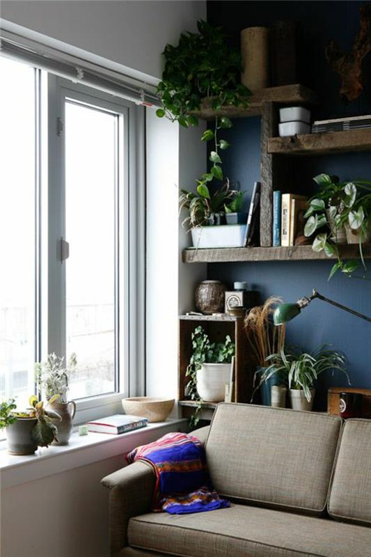 seinän värit ideoita tumma aksentti seinäkasvit sohva ikkunalauta