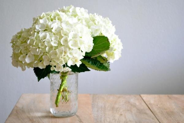 valkoinen hortensia kukka maljakko pöytä koristelu kukkia