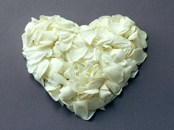 valkoinen ruusu sydän koristelu romanttinen viattomuus