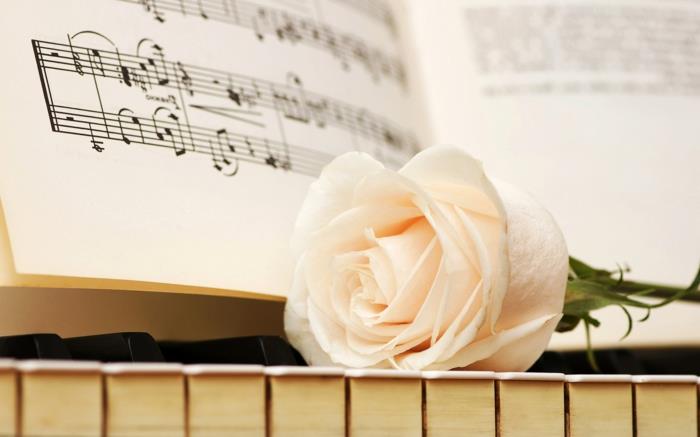 valkoinen ruusu musiikki romantiikka taidetta