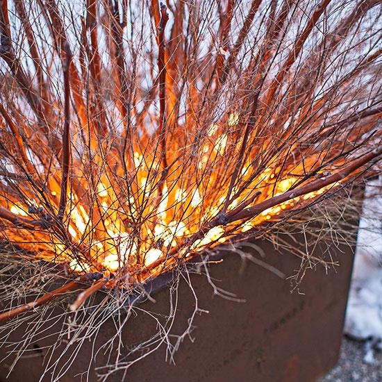 joulu ulkona koristelu pensas keiju valot