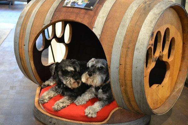 viini tynnyri puinen tynnyri DIY huonekalut koiratarvikkeet rakenna oma koiranpeti