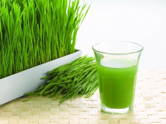 wheatgrass siemenet wheatgrass mehu lasi