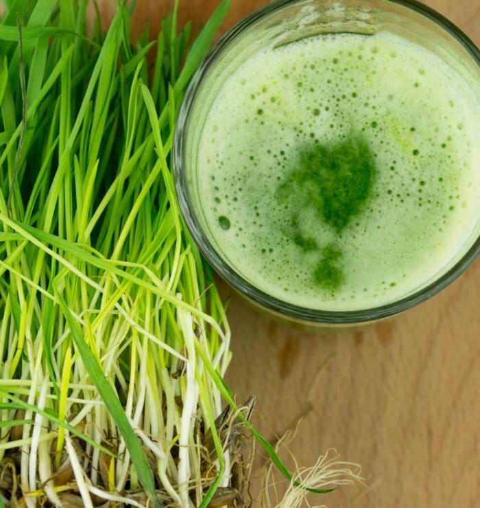 wheatgrass siemenet wheatgrass mehu sulje